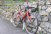 2011 Specialized Crux Elite photo