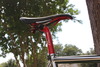 2011 Specialized Langster Steel photo