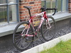 2011 Trek Madone 6 Series photo