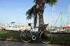 2012 Specialized Tarmac SL3 Expert photo