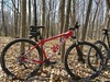 2012 Trek Cobia photo