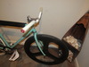 2013 Bianchi Pista 53cm photo