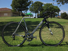 2013 Cannondale CAAD 10 photo