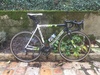 2013 Cannondale Raad10 photo