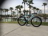 2013 Celeste Track Steel Bike photo