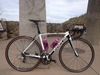 Focus Izalco Pro photo