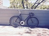 2013 Fyxation 52cm Black(gloss) Hawai'i photo