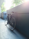 2013 Fyxation 52cm Black(gloss) Hawai'i photo