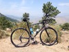 2013 Specialized Allez Comp photo