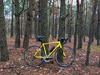 2013 Specialized Allez Elite photo