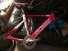 2013 Specialized Langster Pro Red/ White photo