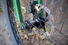 2013 Surly Krampus photo