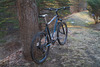 2013 Trek 3700 photo