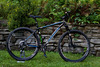 2013 Trek Cobia photo