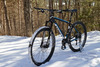 2013 Trek Cobia photo