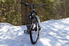 2013 Trek Cobia photo