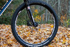 2013 Trek Cobia photo