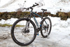 2013 Trek Cobia photo