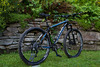 2013 Trek Cobia photo