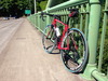 2013 Trek Madone 2.1 photo