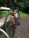 2013 Trek Madone 2.1 photo