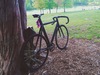 2014 Affinity Kissena photo