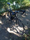 2014 Canyon Ultimate Al SLX 9.0 SL photo