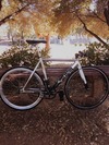 2014 Cinelli Histogram FOR SALE photo