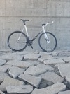 2014 Cinelli Mash Histogram. photo