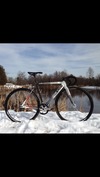 2014 Cinelli Mash Parallax photo