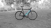 Colossi Low Pro photo