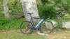 Colossi Low Pro photo