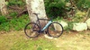 Colossi Low Pro photo