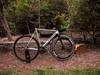 2014 Colossi Low Pro Special photo