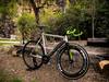 2014 Colossi Low Pro Special photo