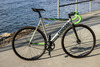 2014 Colossi Low Pro Special photo