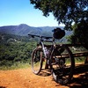 2014 Fuji Tahoe 29 1.5 MTB photo