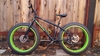 2014 Iron Horse Fat Tire photo 2014 Iron Horse Fat Tire photo