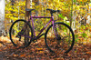 2014 Surly Straggler SS photo