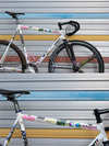 2015 Affinity Lo Pro custom model photo