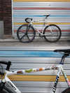 2015 Affinity Lo Pro custom model photo