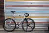 2015 Affinity Lo Pro custom model photo