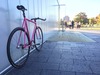 2015 Affinity Lo Pro Panther Pink photo