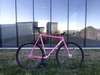 2015 Affinity Lo Pro Panther Pink photo