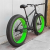 2015 Bronx Fat Tire Bike photo
