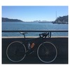 2015 Cannondale Synapse Disc Rival 51cm photo