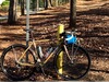 2015 Soma Double Cross Disc photo