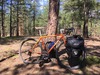 2015 Soma Wolverine photo