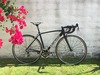 Specialized Allez Race photo