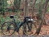 2016 Diamondback Haanjo Comp photo